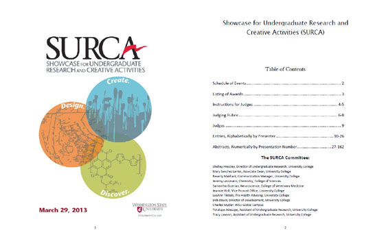 Preview screenshots of the SURCA 2013 abstract book PDF.